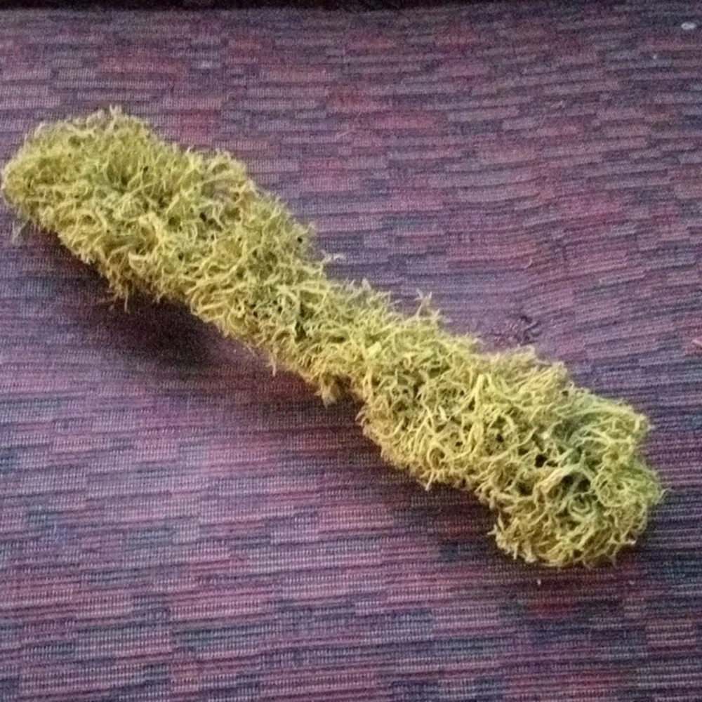 New! Never Used! Moss Branches. 11 Inches Long